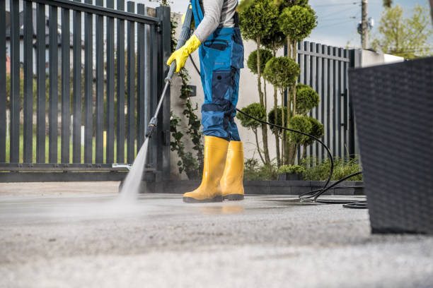 Best House Exterior Washing  in Columbus, MN